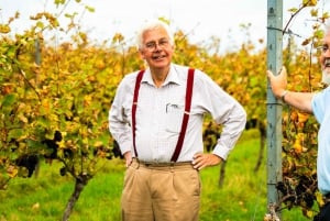 Depuis Londres : Visite en bus des vins anciens avec billets de train aller-retour