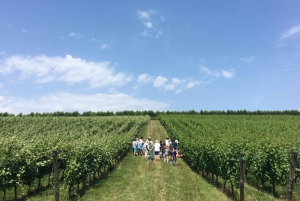 Da Londra: Tour in autobus del vino d'epoca con biglietti del treno andata e ritorno