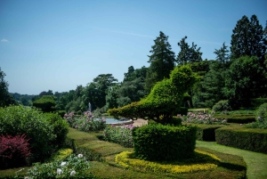 Da Londra: Escursione in treno al castello di Warwick