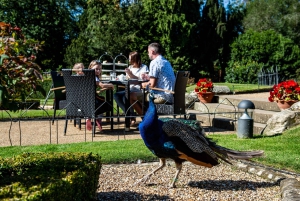 Lontoosta: Warwickin linna päiväretki rautateitse