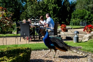 Lontoosta: Warwickin linna päiväretki rautateitse