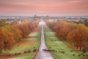 Z Londynu: popołudniowa wycieczka po zamku Windsor