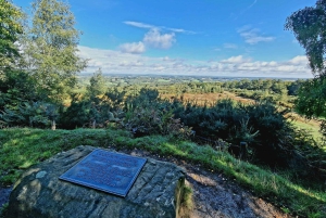 Из Лондона: Однодневная экскурсия в Стоакровый лес Винни-Пуха