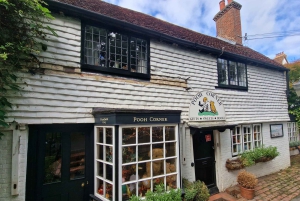 Из Лондона: Однодневная экскурсия в Стоакровый лес Винни-Пуха