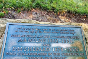 Из Лондона: Однодневная экскурсия в Стоакровый лес Винни-Пуха