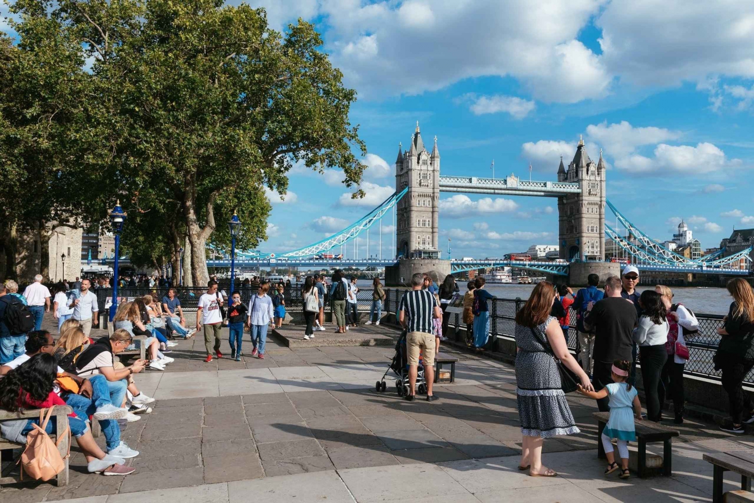 Visite d'une jounée à Londres dans un véhicule privé avec entrées