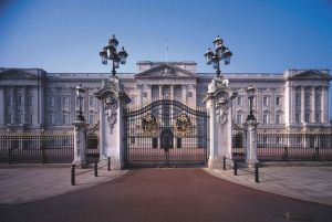 Dagsutflykt Total London Tour & flygning med London Eye