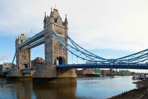 Dagsutflykt Total London Tour & flygning med London Eye