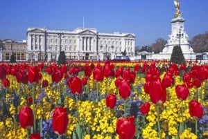 Lontoo: Buckinghamin palatsin pääsylippu