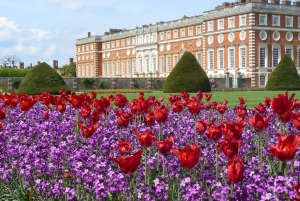 Hampton Courtin palatsin ja puutarhan pääsylippu
