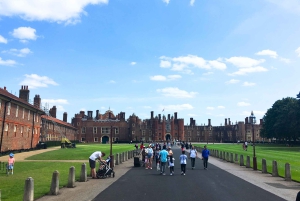 Excursion d'une demi-journée au palais de Hampton Court au départ de Londres avec billets