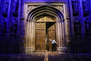 Pakiet rodzinny Harry'ego Pottera z transferami z Londynu