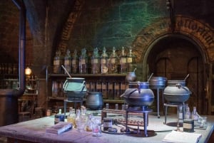 Harry Potter Private Tour in London The Magic Continues