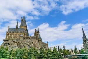 Harry Potter Private Tour in London The Magic Continues