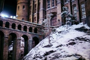Harry Potter Studios & Yksityinen kuljetus Lontoon keskustasta