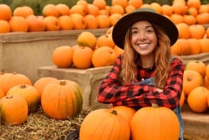 ロンドン：パンプキンパッチをご覧ください