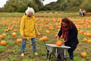 ロンドン：パンプキンパッチをご覧ください