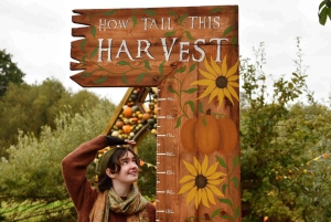 ロンドン：パンプキンパッチをご覧ください