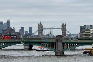 Londres en Español Privado: ¡Lo Mejor de Londres en un día!