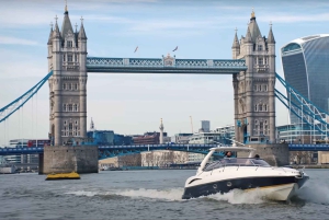 Londres: crucero privado de lujo por el Támesis de 2 horas / alquiler