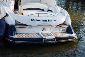 Londra: crociera privata di 2 ore sul Tamigi a bordo di un lussuoso yacht / noleggio