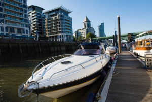 Londra: crociera privata di 2 ore sul Tamigi a bordo di un lussuoso yacht / noleggio