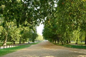 Londen: 24-uurs sightseeingbus