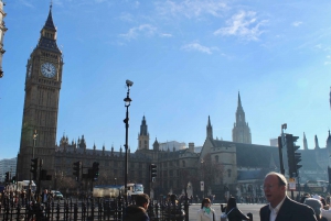 London: 4-Hour Panoramic Tour by Black Taxi