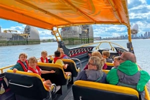 London: 40-minuters tur med Themsens motorbåt - TOWER BEAST RIDE