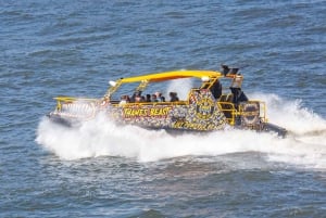 London: 40-minuters tur med Themsens motorbåt - TOWER BEAST RIDE