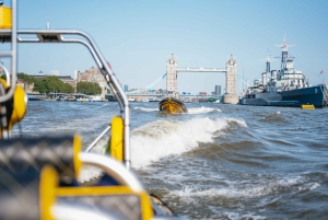Londra: tour panoramico in motoscafo di 45 minuti
