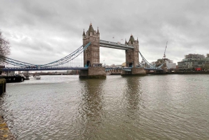 Londres: Tour particular de 5 horas com serviço de busca