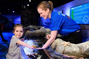 Лондон: 5 лучших достопримечательностей с мадам Тюссо