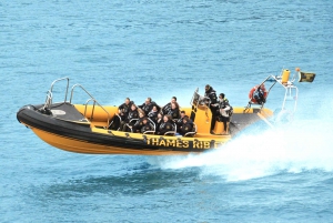 London: 50-Minute River Thames Speedboat RIB Tour