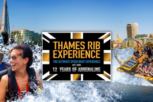 London: 50-Minute River Thames Speedboat RIB Tour