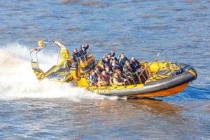 London: 70-minütige Thames Barrier Speedboat Tour