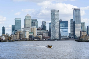Londres: Excursión de 70 minutos en lancha rápida por la barrera del Támesis