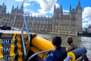 Londres: Excursión de 70 minutos en lancha rápida por la barrera del Támesis