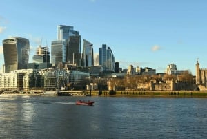 London: Modern arkitektur Modern arkitektur & byggnader Guidad promenad