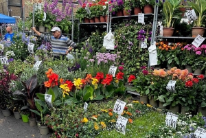 Londra: tour a piedi dei mercati domenicali autentici
