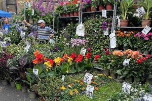 Londra: tour a piedi dei mercati domenicali autentici