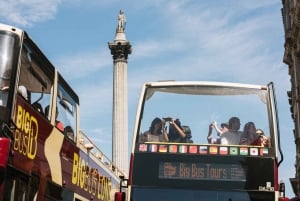 Londres: tour con paradas libres en autobús grande y crucero por el río