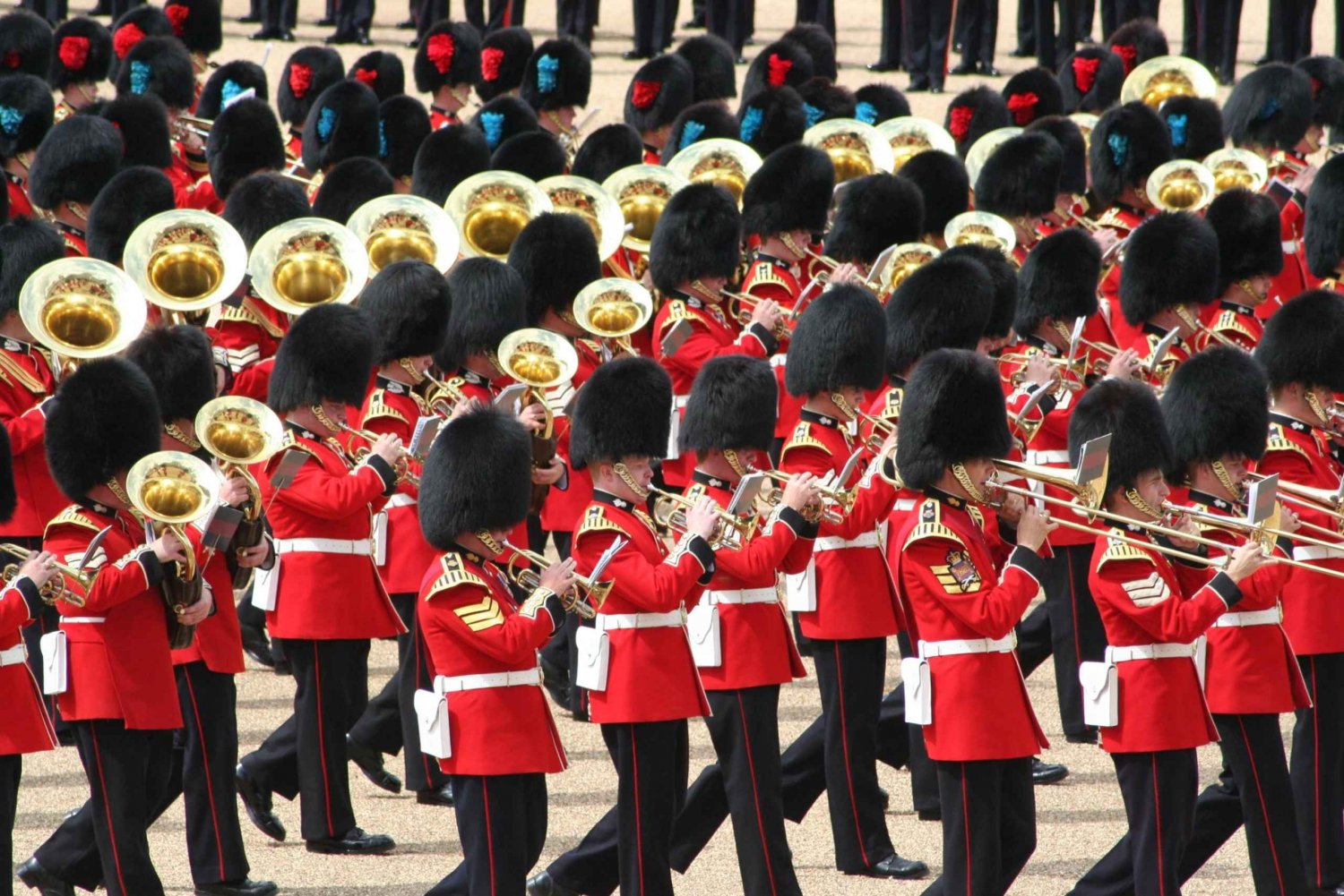 Lontoo: Buckinghamin palatsin opastettu kierros vartijan vaihtumisen yhteydessä