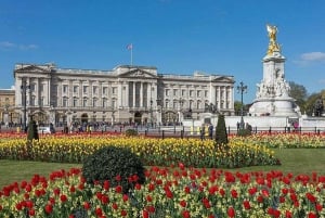 Londen: Buckingham Palace & stadswandeling