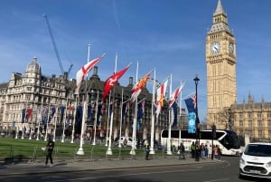 Londen: Buckingham Palace & stadswandeling