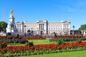 Londen: Buckingham Palace State Rooms met bustour en rondvaart