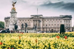 Londra: Biglietto per il cambio della guardia e per Buckingham Palace