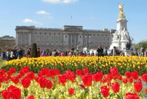 Omvisning til fots av vaktbytte på Buckingham Palace