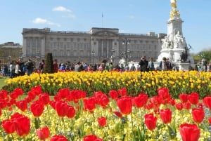 London: Changing of the Guard Walking Tour