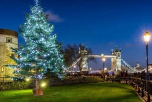 Londres: Tour nocturno en autobús de las luces de Navidad con guía en directo